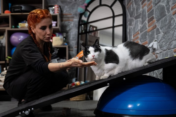 Diyet ve pilatesle zayıflatmaya çalışıyorlar Diyet ve pilatesle zayıflatmaya çalışıyorlar