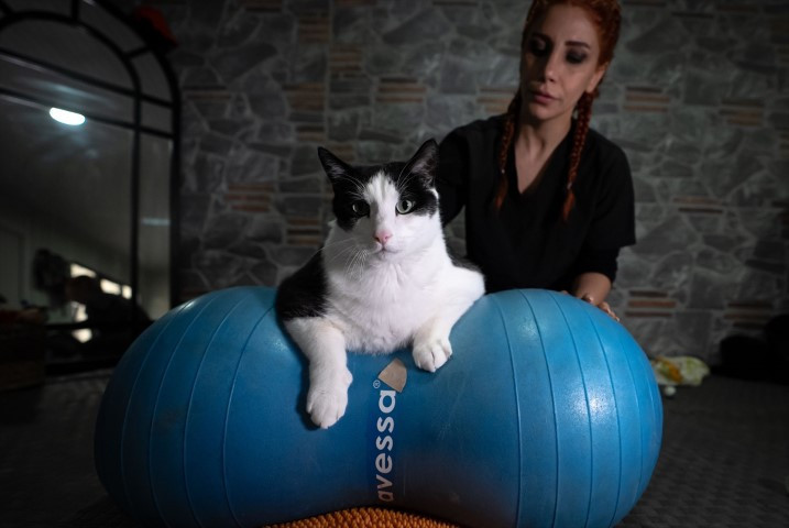 Diyet ve pilatesle zayıflatmaya çalışıyorlar Diyet ve pilatesle zayıflatmaya çalışıyorlar