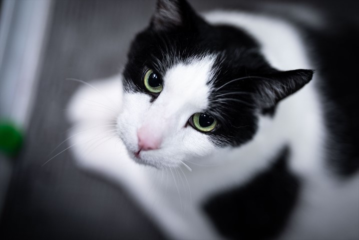 Diyet ve pilatesle zayıflatmaya çalışıyorlar Diyet ve pilatesle zayıflatmaya çalışıyorlar