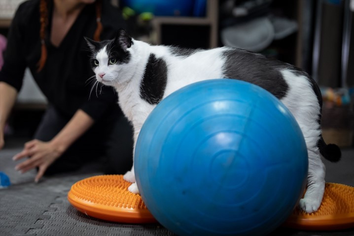 Diyet ve pilatesle zayıflatmaya çalışıyorlar Diyet ve pilatesle zayıflatmaya çalışıyorlar