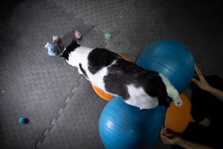 Diyet ve pilatesle zayıflatmaya çalışıyorlar Diyet ve pilatesle zayıflatmaya çalışıyorlar