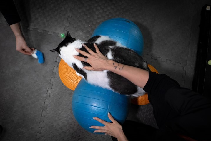 Diyet ve pilatesle zayıflatmaya çalışıyorlar Diyet ve pilatesle zayıflatmaya çalışıyorlar