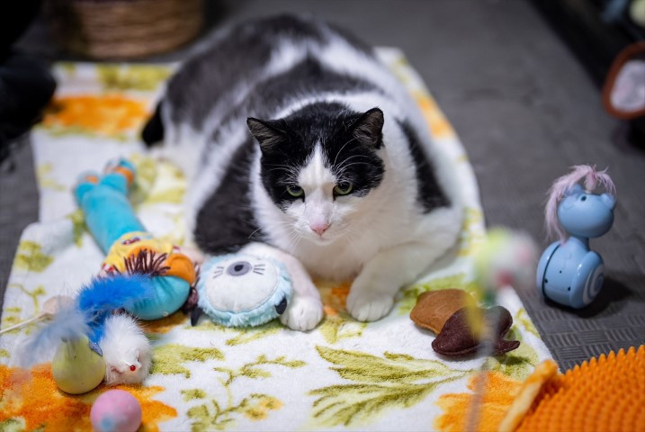 Diyet ve pilatesle zayıflatmaya çalışıyorlar Diyet ve pilatesle zayıflatmaya çalışıyorlar