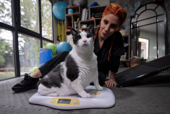 Diyet ve pilatesle zayıflatmaya çalışıyorlar Diyet ve pilatesle zayıflatmaya çalışıyorlar