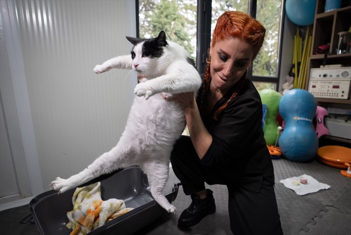 Diyet ve pilatesle zayıflatmaya çalışıyorlar Diyet ve pilatesle zayıflatmaya çalışıyorlar