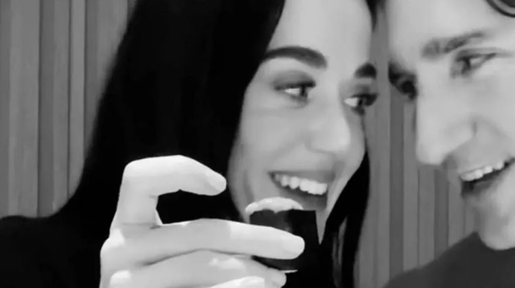 Yıldırım hızıyla aşk... Üç ayda bebek isteği geldi