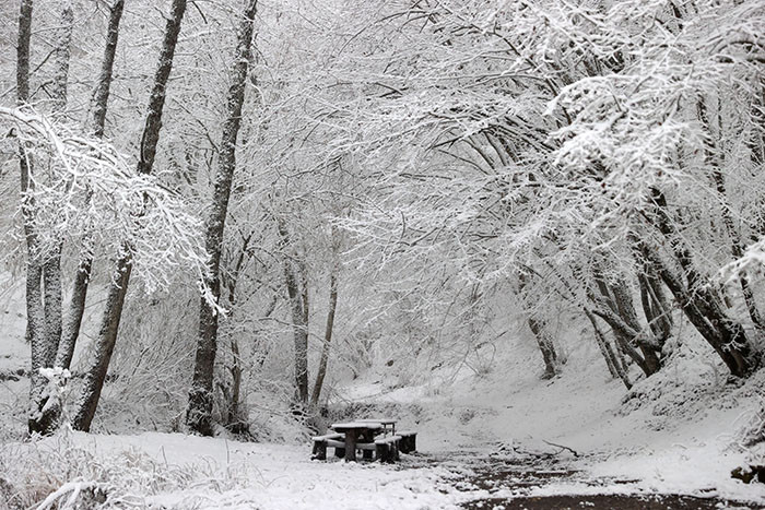  Evler beyaz örtüyle kaplandı Karın keyfini çıkarıyoruz