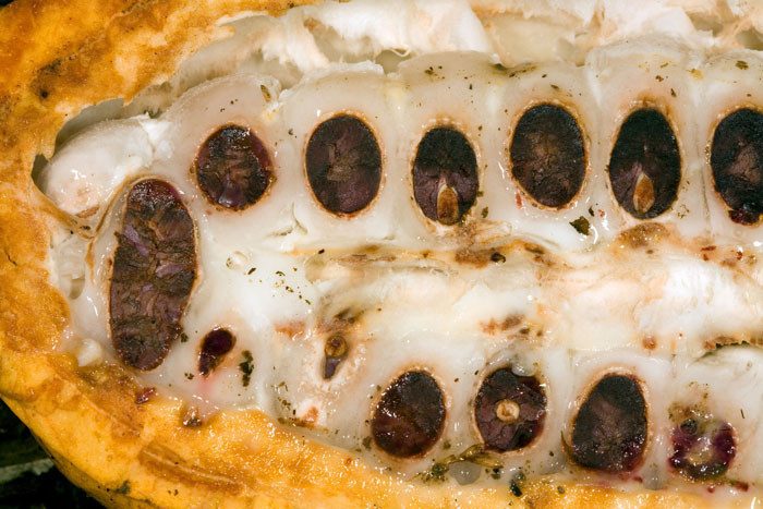  Bitter çikolata yaşlanmayı yavaşlatıyor