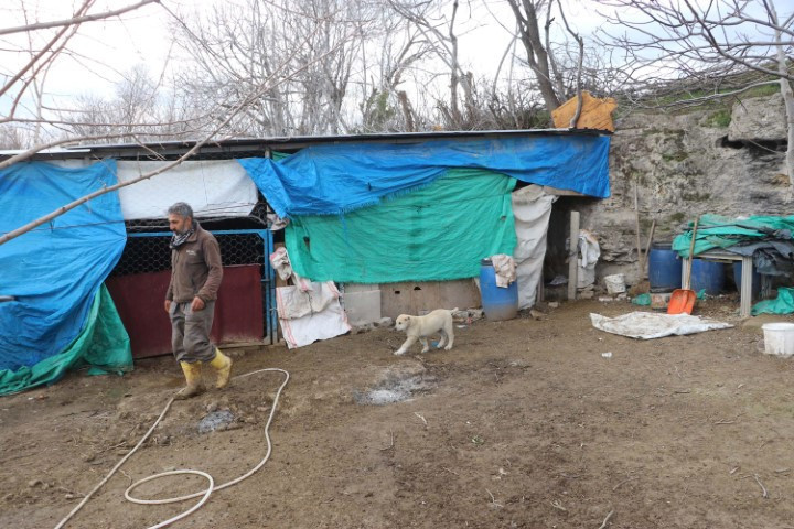  Böylesini ilk kez duydum ve gördüm