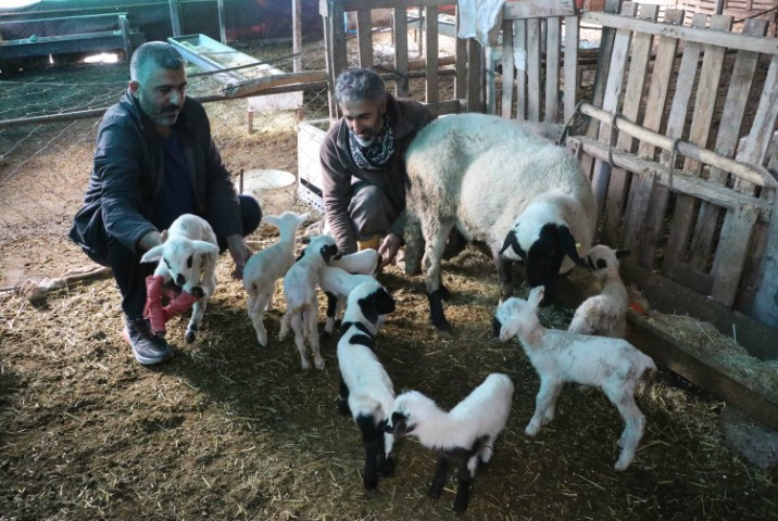 Böylesini ilk kez duydum ve gördüm