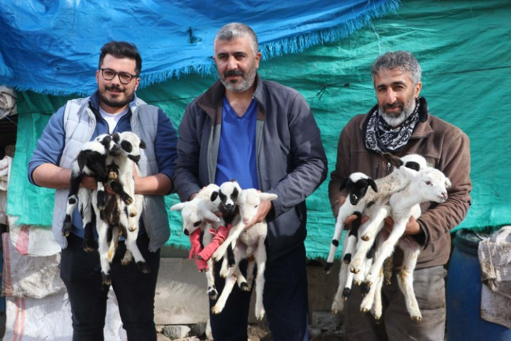  Böylesini ilk kez duydum ve gördüm