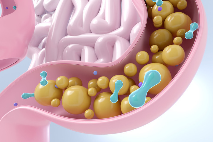 11- BAĞIRSAK FLORASINI BESLEMEMEK 11- BAĞIRSAK FLORASINI BESLEMEMEK