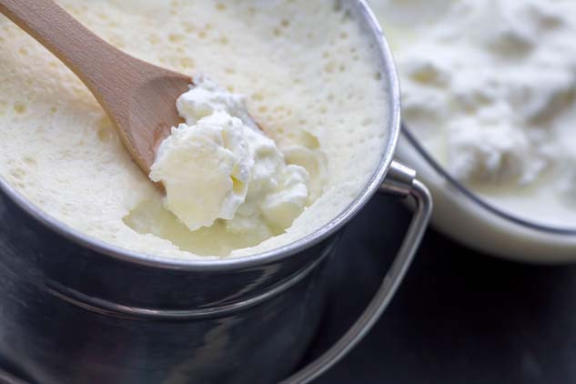 Yoğurt tüketimi kalın bağırsak kanserine karşı koruyucu olabilir