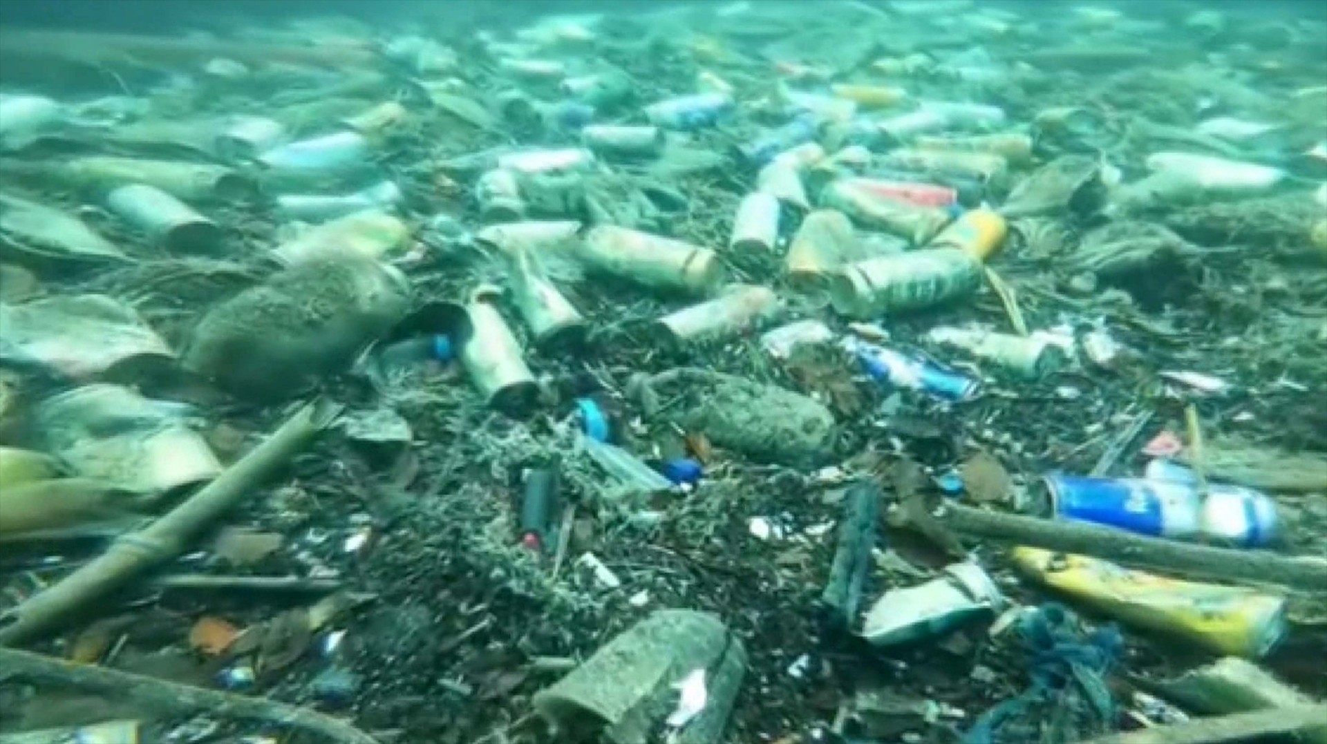 DENİZ DİBİNDE ÇÖP VE CAN ÇEKİŞEN BALIKLAR