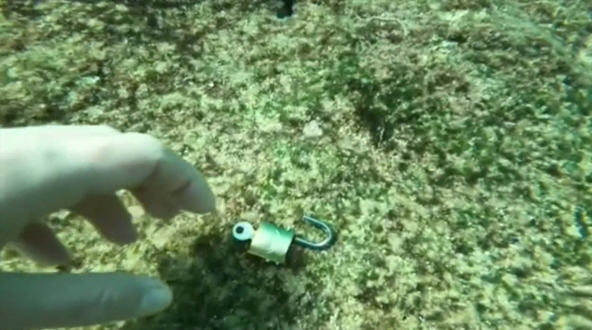 Denizden çıkanlar şoke etti: Büyü amaçlı kullanılıyor...