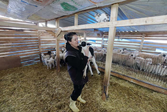 Bir doğum günü hediyesiyle her şey değişti 24 saat sürekli içlerindeyim, güne keyifle başlıyorum Bir doğum günü hediyesiyle her şey değişti 24 saat sürekli içlerindeyim, güne keyifle başlıyorum