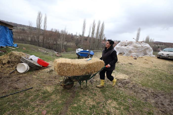 Bir doğum günü hediyesiyle her şey değişti 24 saat sürekli içlerindeyim, güne keyifle başlıyorum Bir doğum günü hediyesiyle her şey değişti 24 saat sürekli içlerindeyim, güne keyifle başlıyorum