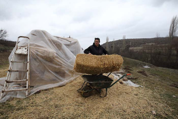Bir doğum günü hediyesiyle her şey değişti 24 saat sürekli içlerindeyim, güne keyifle başlıyorum Bir doğum günü hediyesiyle her şey değişti 24 saat sürekli içlerindeyim, güne keyifle başlıyorum