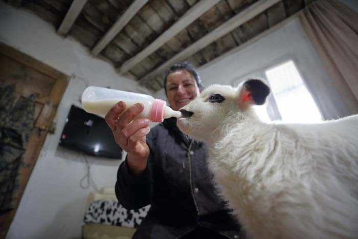 Bir doğum günü hediyesiyle her şey değişti 24 saat sürekli içlerindeyim, güne keyifle başlıyorum Bir doğum günü hediyesiyle her şey değişti 24 saat sürekli içlerindeyim, güne keyifle başlıyorum