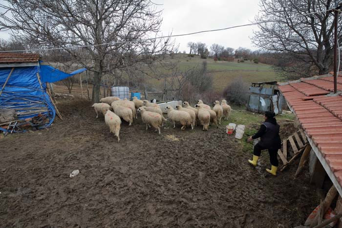 Bir doğum günü hediyesiyle her şey değişti 24 saat sürekli içlerindeyim, güne keyifle başlıyorum Bir doğum günü hediyesiyle her şey değişti 24 saat sürekli içlerindeyim, güne keyifle başlıyorum