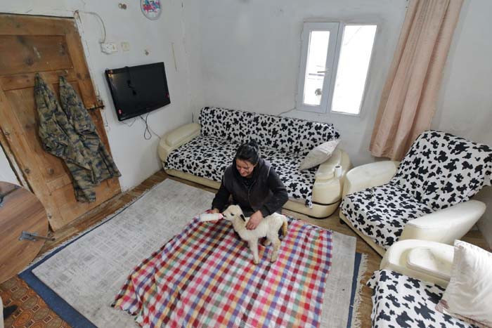 Bir doğum günü hediyesiyle her şey değişti 24 saat sürekli içlerindeyim, güne keyifle başlıyorum Bir doğum günü hediyesiyle her şey değişti 24 saat sürekli içlerindeyim, güne keyifle başlıyorum