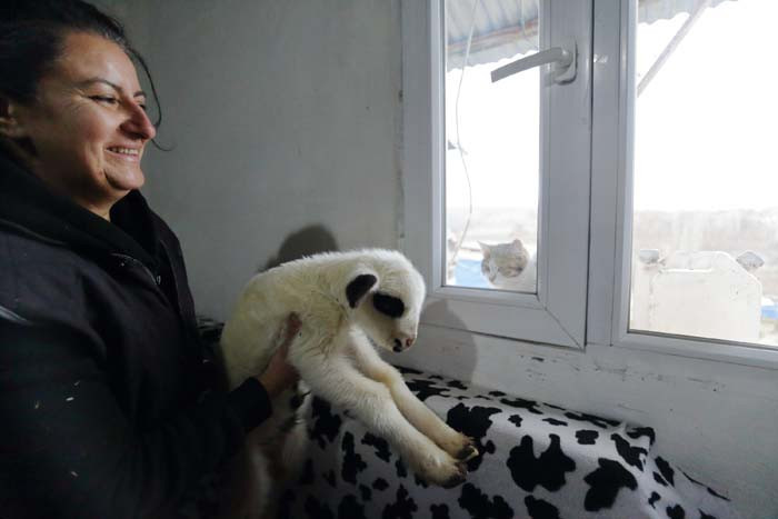 Bir doğum günü hediyesiyle her şey değişti 24 saat sürekli içlerindeyim, güne keyifle başlıyorum Bir doğum günü hediyesiyle her şey değişti 24 saat sürekli içlerindeyim, güne keyifle başlıyorum