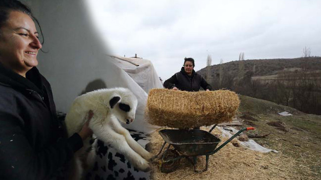 Şehir hayatından sıkılıp köyüne yerleşti: Bir doğum günü hediyesiyle her şey değişti! '24 saat sürekli içlerindeyim, güne keyifle başlıyorum'