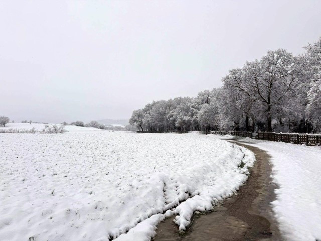  Bastıran kar yağışı ile her yer beyaza büründü