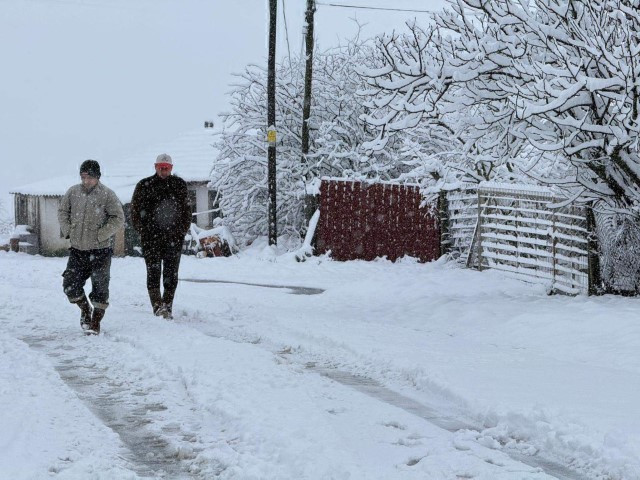  Bastıran kar yağışı ile her yer beyaza büründü