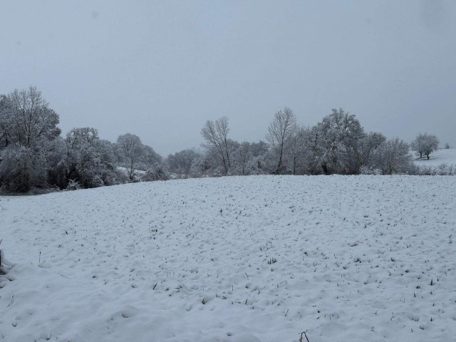  Bastıran kar yağışı ile her yer beyaza büründü