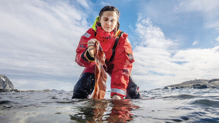 ‘Kutup’ta arayış