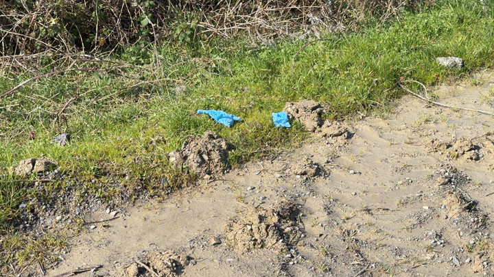 İstanbul'da korkunç olay! Çinli iş insanının cesedi elleri ve ayakları bağlı toprağa gömülü bulundu