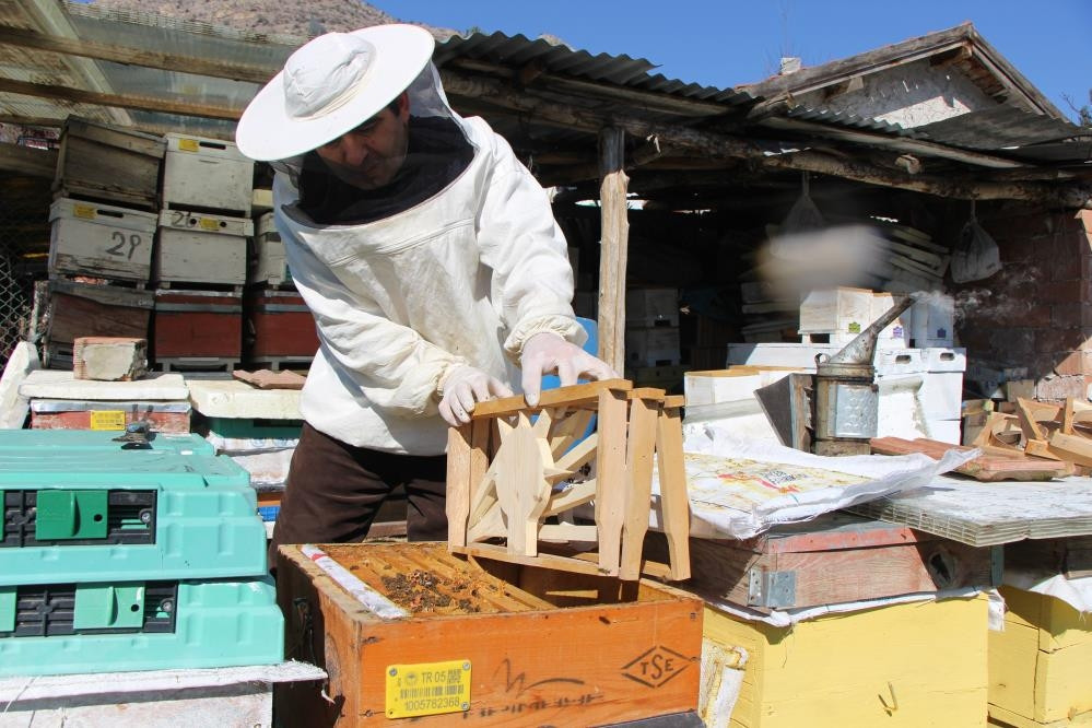  Kazananı arılar belirleyecek Seçim sonuçlarını eylül ayında göreceğiz