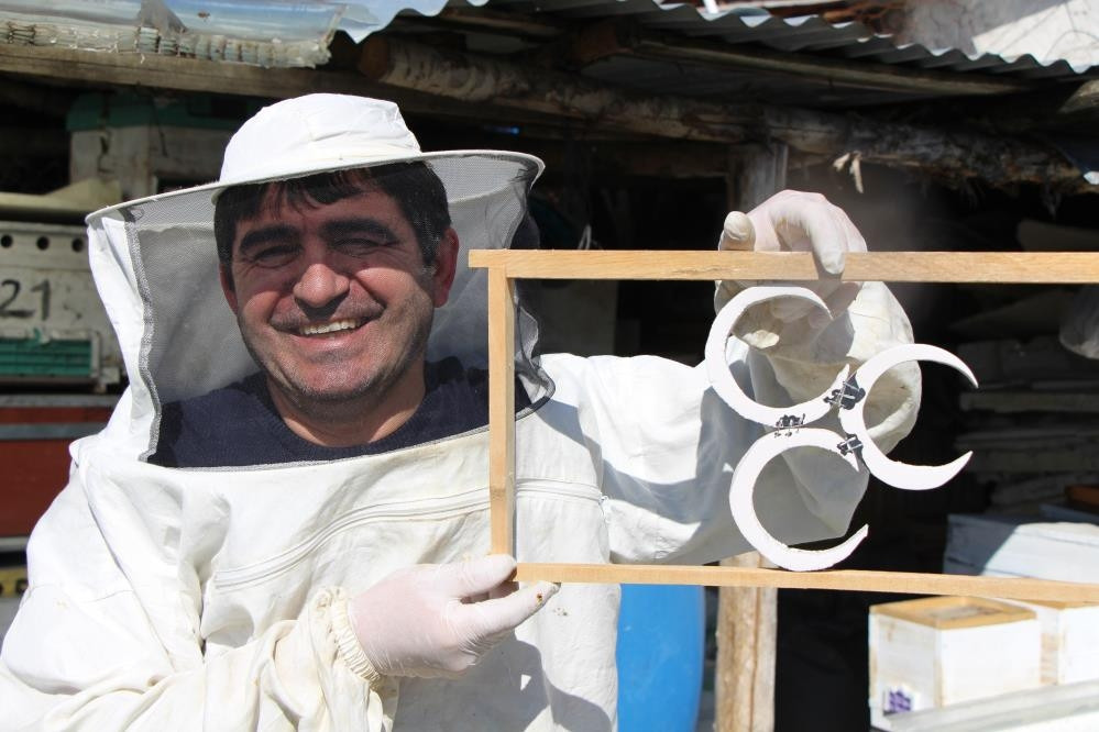  Kazananı arılar belirleyecek Seçim sonuçlarını eylül ayında göreceğiz