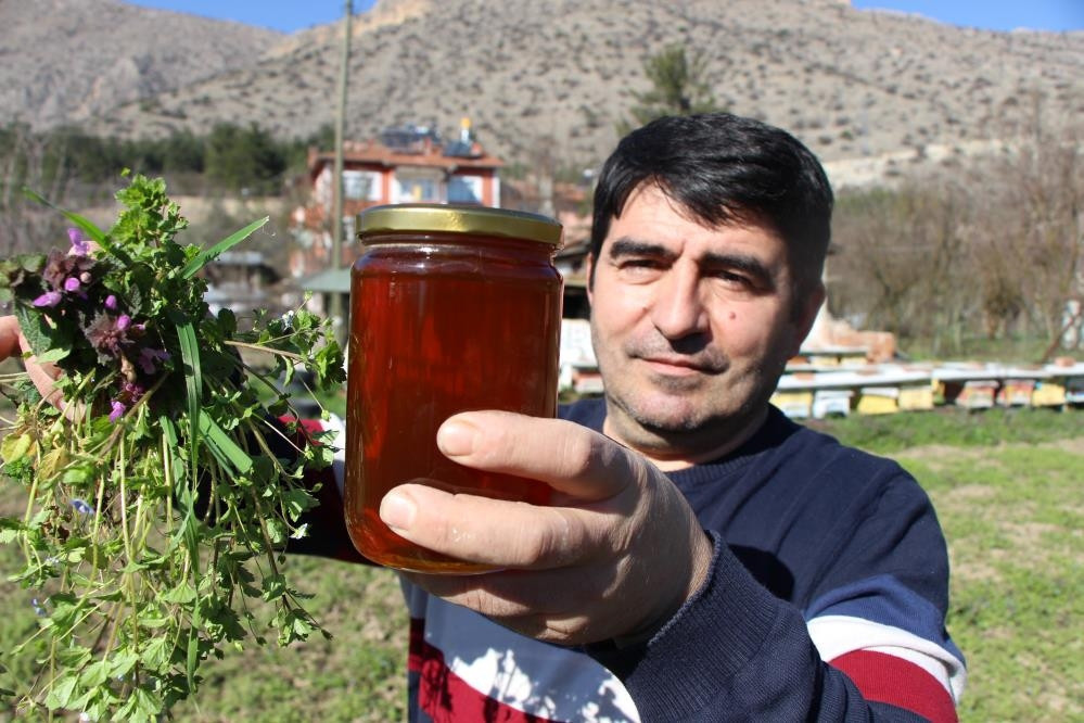  Kazananı arılar belirleyecek Seçim sonuçlarını eylül ayında göreceğiz