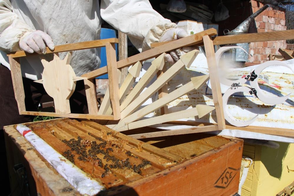  Kazananı arılar belirleyecek Seçim sonuçlarını eylül ayında göreceğiz