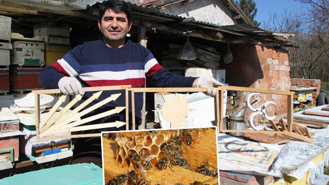 Amasya'da seçimler başladı: Kazananı arılar belirleyecek! 'Seçim sonuçlarını eylül ayında göreceğiz'