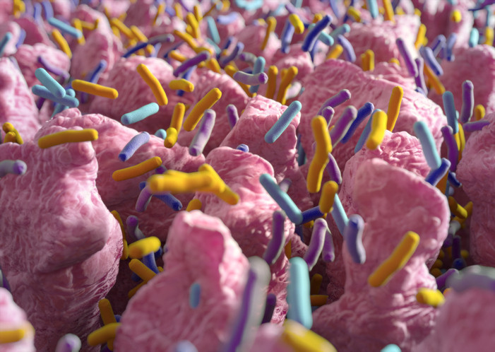 Alzheimer bile buradan başlıyor Vücudunuzu içerden yaşlandırıyor Alzheimer bile buradan başlıyor Vücudunuzu içerden yaşlandırıyor