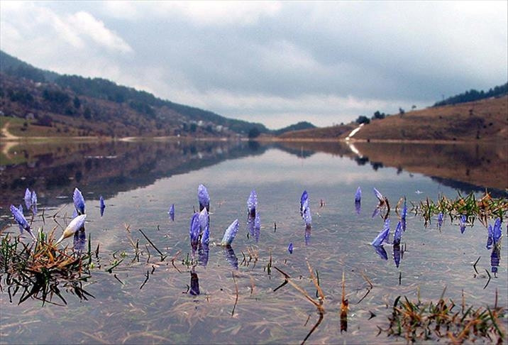 CEMRE DÜŞMESİ TARİHLERİ VE SIRALAMASI