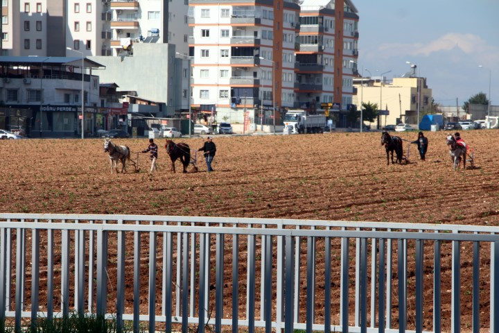 Çiftçilerin kullandığı eski yöntem tepkilere neden oldu