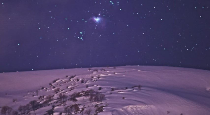  Bitliste akademisyen tarafından görüntülendi