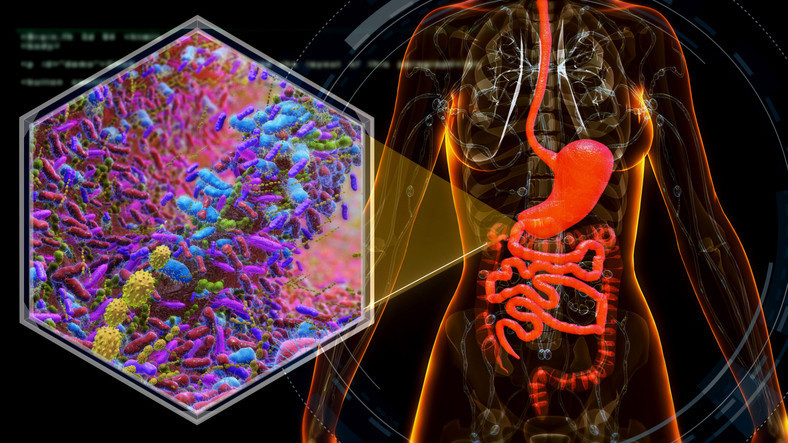  Tükürük teması ve ısırıkları sakın görmezden gelmeyin