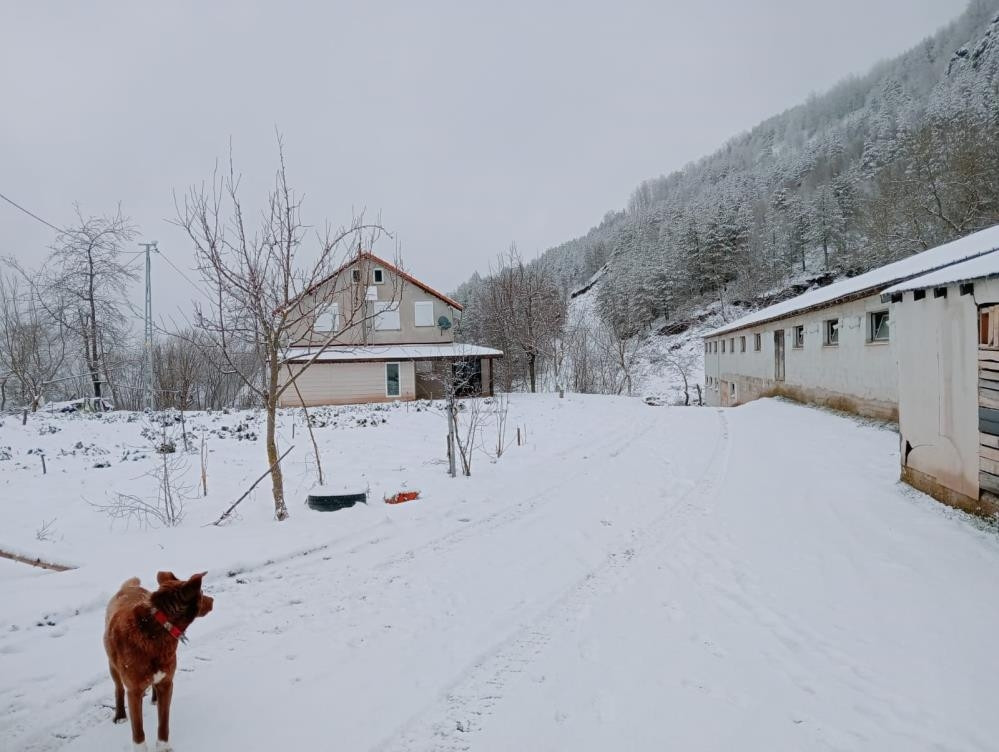 Lapa lapa kar yağışı başladı: Kara teslim oldular, her yer beyaz örtüyle kaplandı Zorunlu olmadıkça dışarı çıkmayın