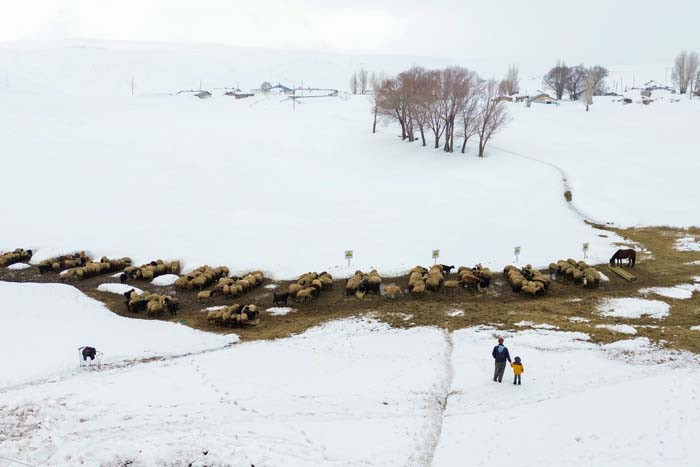  Herkes gitti onlar gitmiyor Burada 6 ay kar yağışı sürüyor, evimi bırakmayacağım