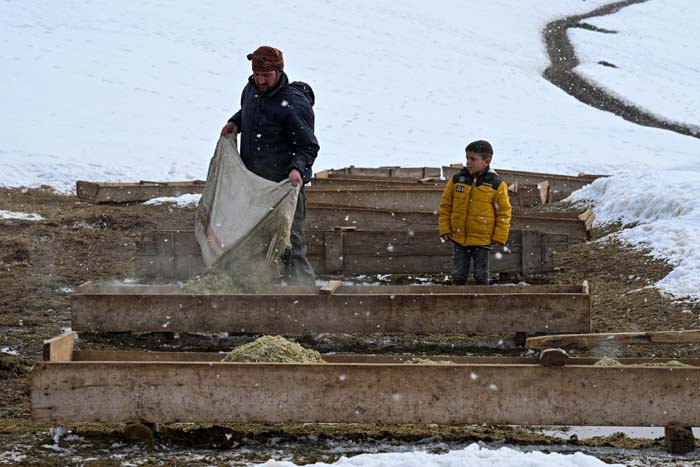  Herkes gitti onlar gitmiyor Burada 6 ay kar yağışı sürüyor, evimi bırakmayacağım