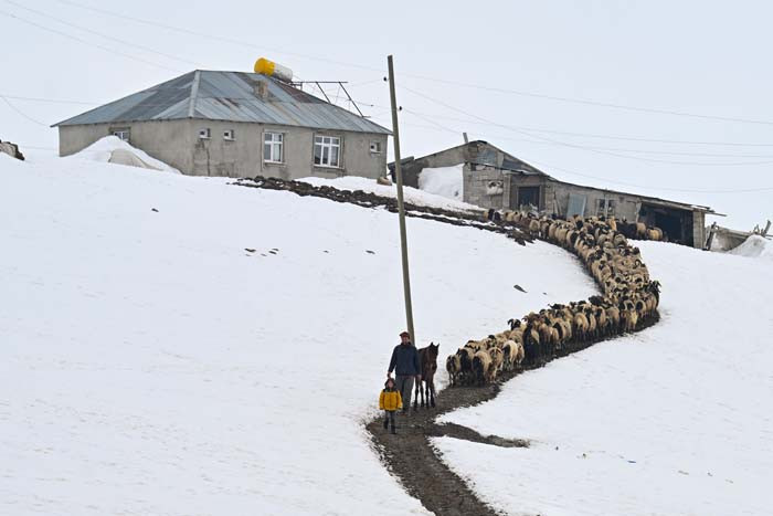  Herkes gitti onlar gitmiyor Burada 6 ay kar yağışı sürüyor, evimi bırakmayacağım