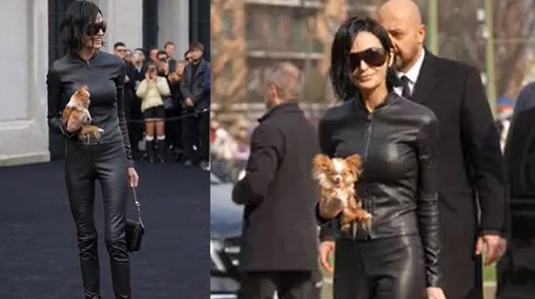 Kucağında köpeği olmasa kimse tanımayacaktı: Çabuk söyle, kimsin sen!