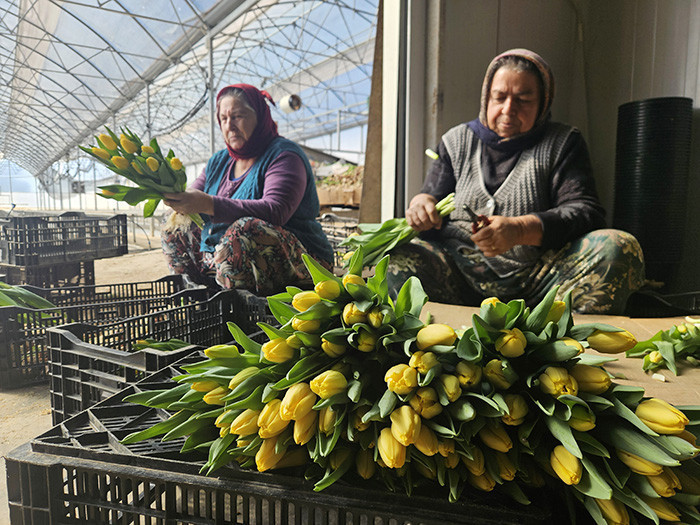  Su kullanılarak yapılıyor 1 ay sonra hazır oluyor | Türkiyede bu işin başka bir örneği yok