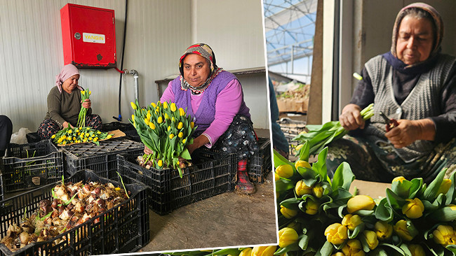 Ne toprak var ne gübre: Su kullanılarak yapılıyor! 1 ay sonra hazır oluyor | 'Türkiye'de bu işin başka bir örneği yok'