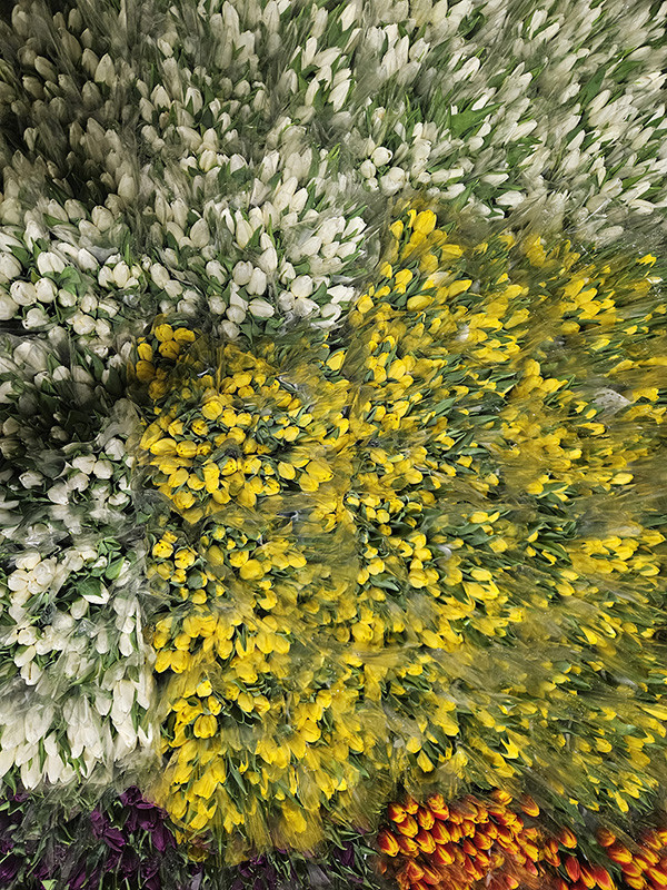  Su kullanılarak yapılıyor 1 ay sonra hazır oluyor | Türkiyede bu işin başka bir örneği yok